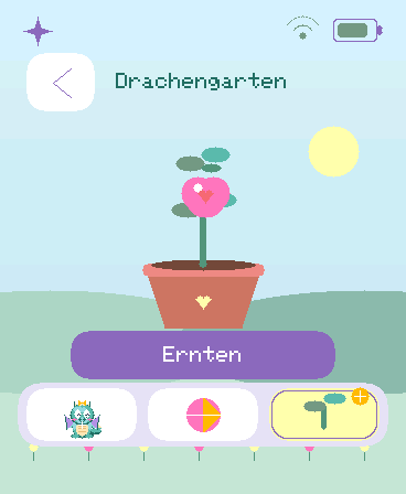 Eine reife Quatschfrucht im Drachengarten